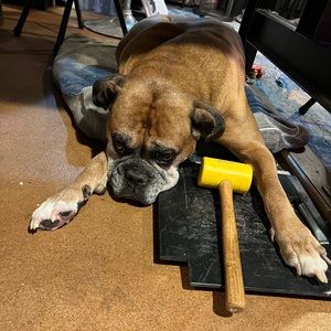 Moving!!! Please buy, must get rid of things!! Please buy!!!